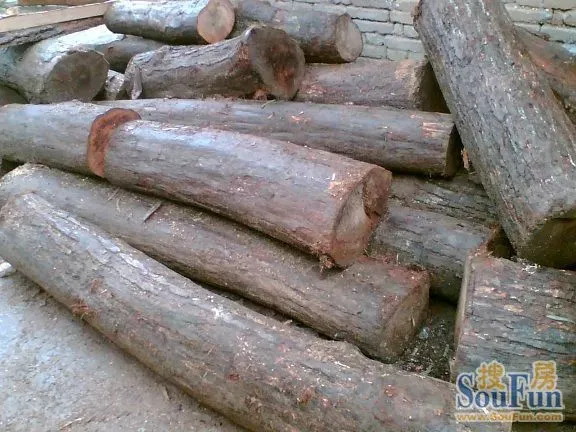 海南红绸木 桌欣赏