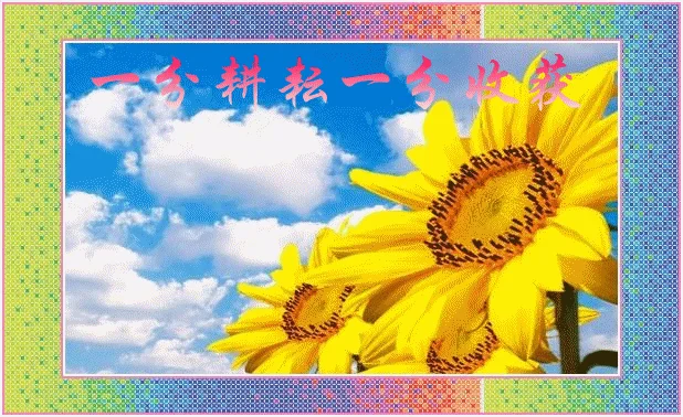 上帝对每个人都是公平的,正所谓一分耕耘一分收获,付出不一定有