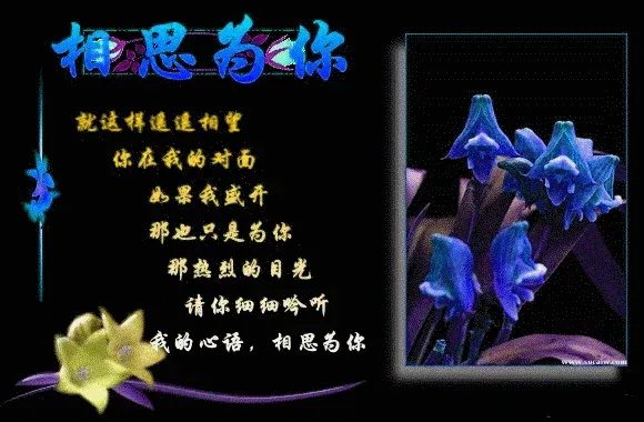 主题:〓〓 相思为你 !