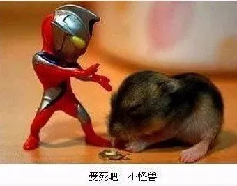 【站长幸福秀】幸福就是猫吃鱼 狗吃肉 奥特曼打小怪兽