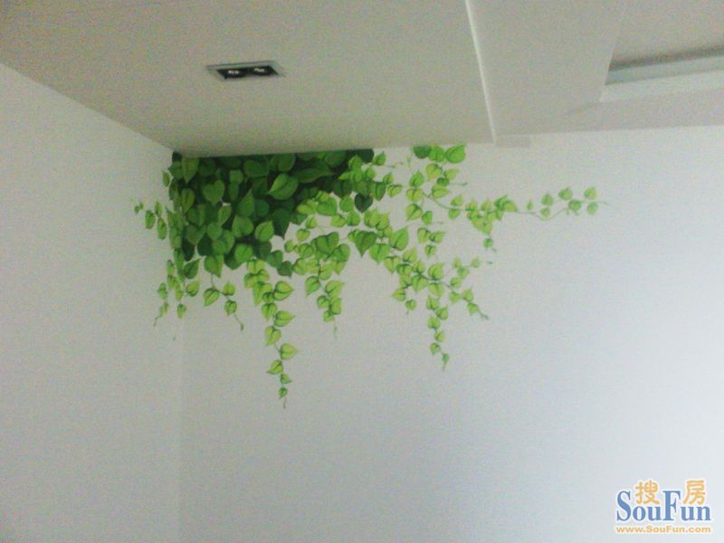 墙绘藤蔓绿植图片图片