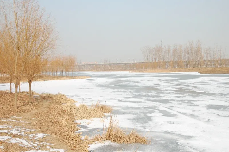 小清河公园和六里桥 站照片