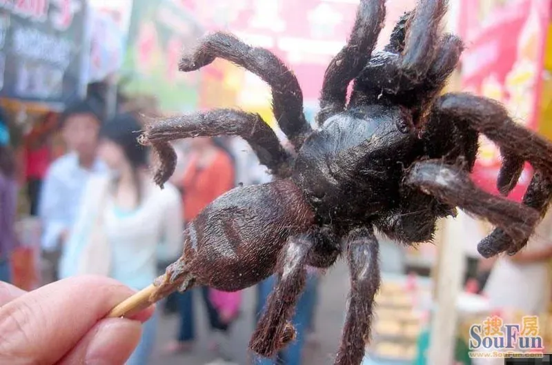 6,油炸蜘蛛:2007年5月14日,连云港市新浦银河广场名小吃展览会上的