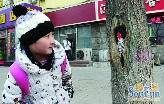女孩绘树洞画感动冬天,其实爱就在你的身边