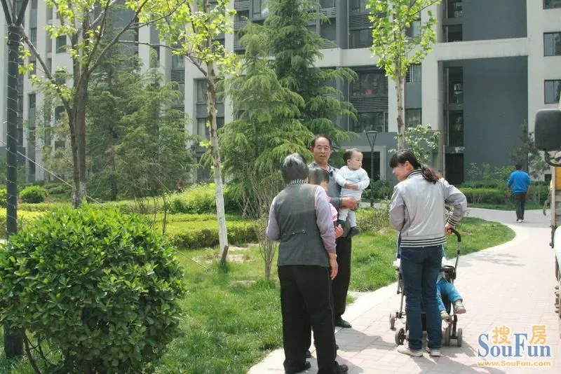 8日看慧园实景(附图)楼顶晒被楼下孩子婵婵学步 其乐融融!