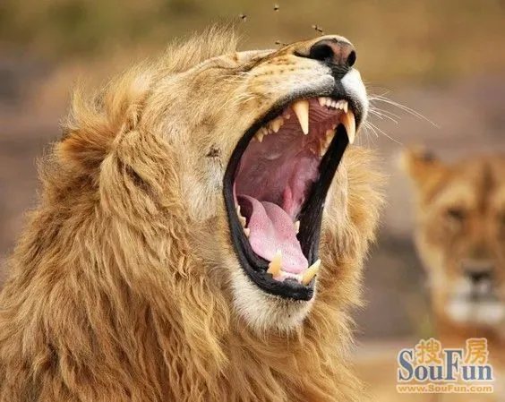 选房子的一些窍门,大家也都要学学吧.