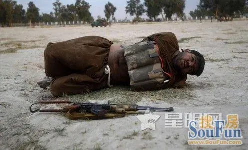 阿富汗上演惊险徒手拆人弹 双手无保护命悬一线(图)