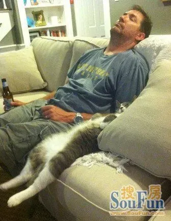 主人找猫累翻,猫走失也累瘫,团聚后一起翻肚熟睡