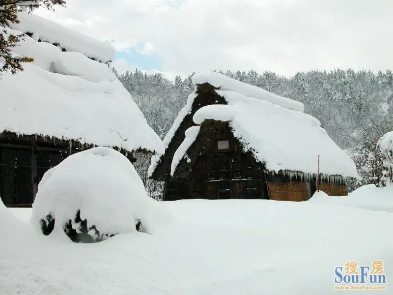 重庆真的是热啊热啊热啊!版主我给大家来降降火哈!嘻嘻
