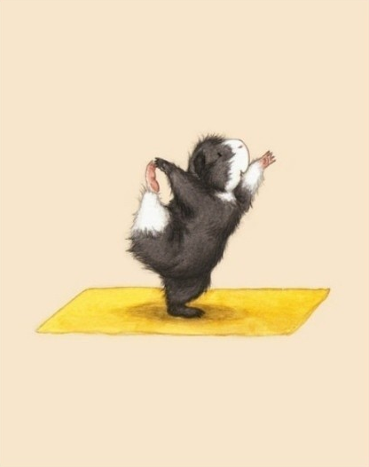 练瑜伽的小仓鼠,好搞笑