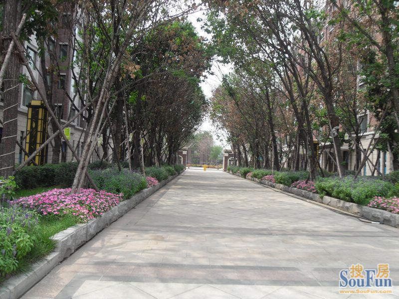 蓝桥郡的园区还是挺美的~~-君临·蓝桥郡业主论坛- 沈阳房天下