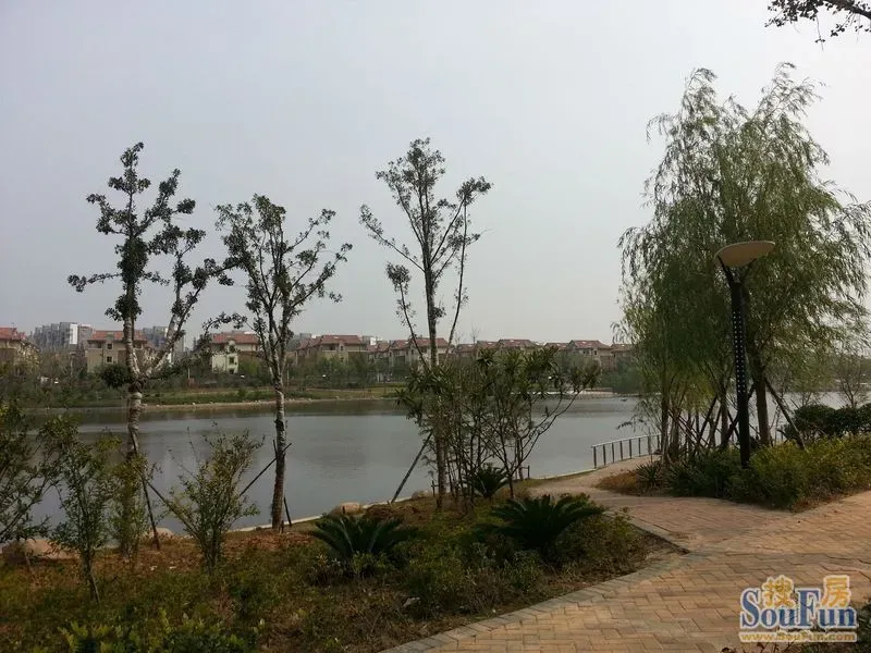 如今的万裕龙庭水岸