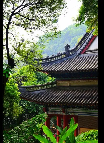 ╭╯★╭╯无尘境界:广州白云山能仁寺掠影╭╯★╭╯