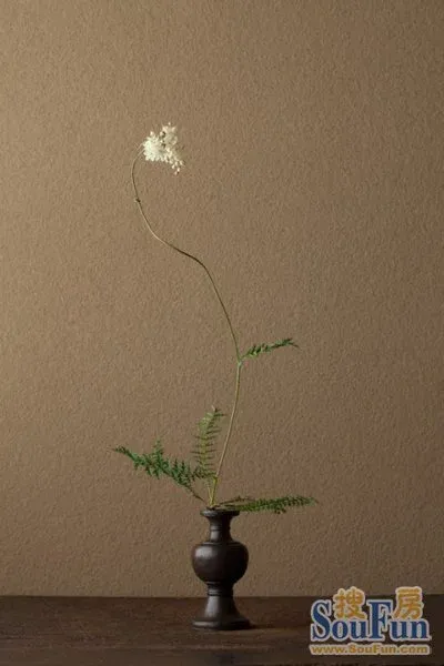 最好的爱情---安妮宝贝