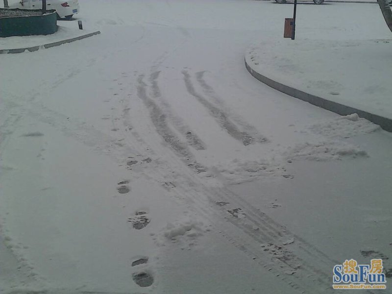 2014年的第一场大雪终于下来了 瑞年照风雪 翠岛天成业主论坛 秦皇岛