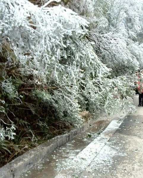 今年河源和平雪峰嶂下雪了,细数广东省有几个城市会下雪的!