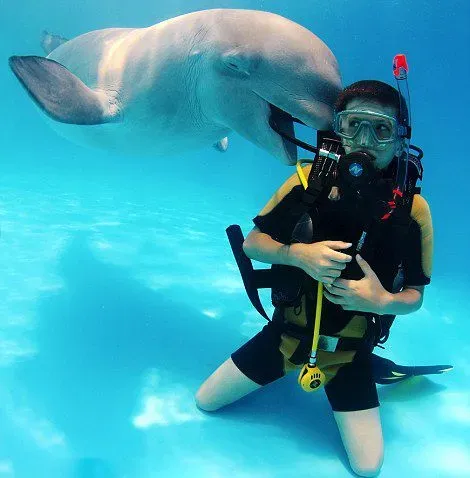 乌克兰白鲸逗弄潜水员卖萌欲上镜[组图]