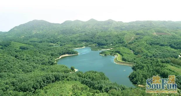 【出彩海南 森林之色】屯昌有這麼多美食和旅遊景點想想還有點小激動