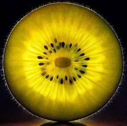 切片后的水果 原来是这副样子啊~好像眼睛有木有?