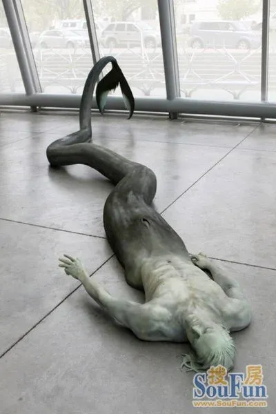 这是鳗鱼吧?这么长的尾巴