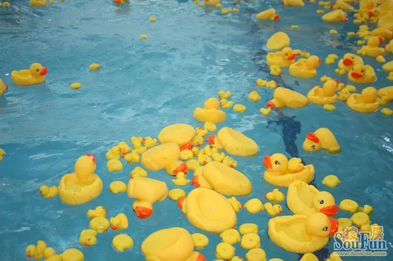 芜湖惊现满池尽是小黄鸭的游泳馆,好可爱啊