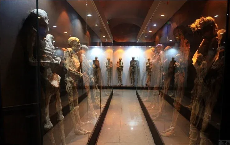 揭迷世界上最恐怖的人尸博物馆