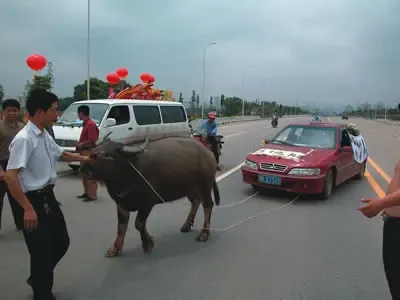 老牛拉"破"车