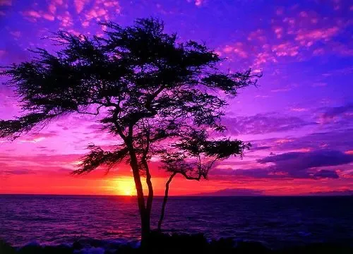 (男)看看忙碌的世界是否依然孤独的转个不停 (女)春风不解风情吹动