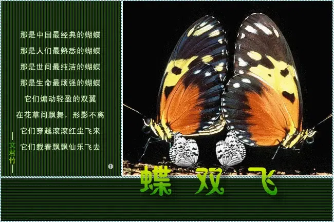 650_433gif 动态图 动图