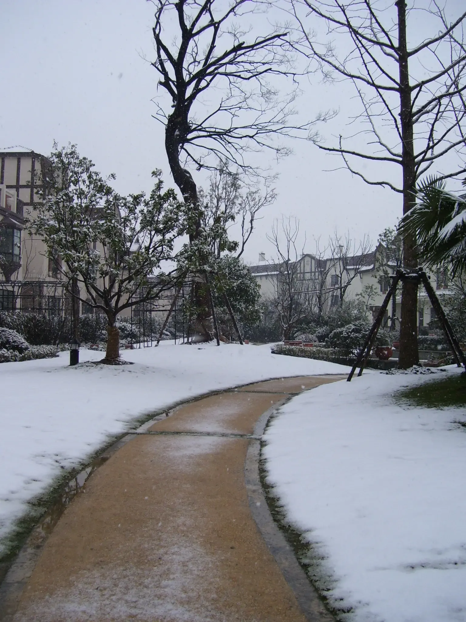 莱英郡的第一场雪