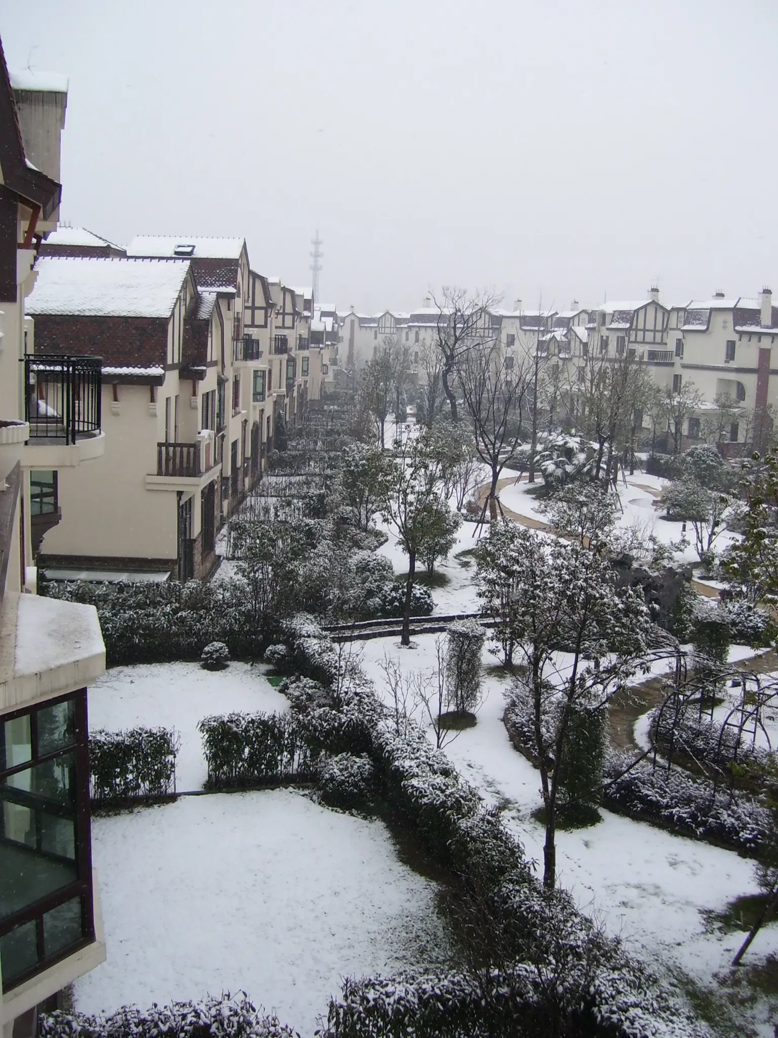 莱英郡的第一场雪