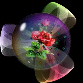 316_316gif 动态图 动图