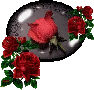 喜欢就拿——素材之《分割线》