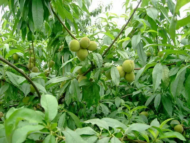 花花世界,充满生机