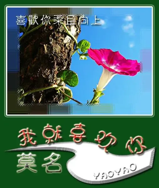 主题:莫名我就喜欢你