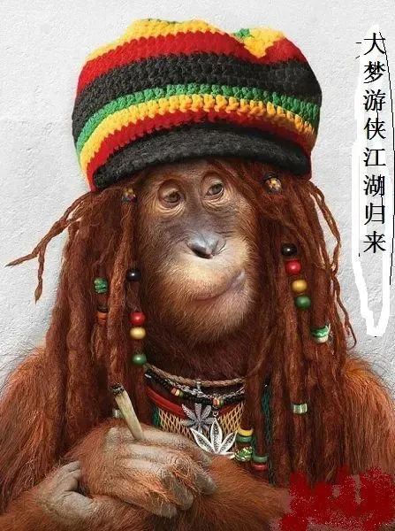 之游侠归来[牛皮哄哄第一章]