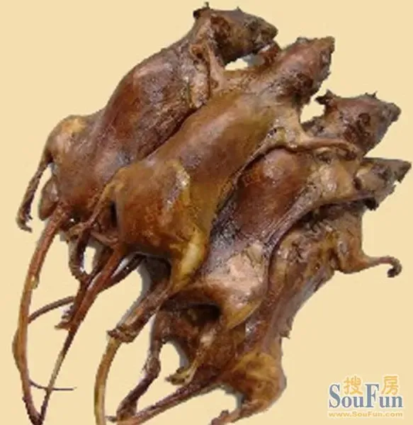 推荐客家名食——老鼠干