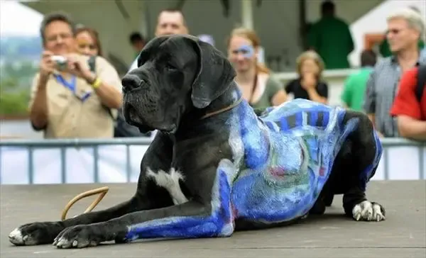 2008体绘节作品欣赏~~让你看点怪异的