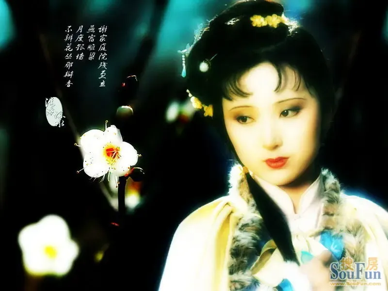 发表于2010-11-20 22:56:27        |只看该作者 楼主     黛玉思愁