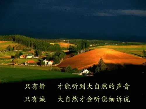 【人生感悟】慢慢才知道的道理