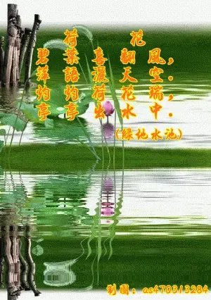 雨,还在淅沥沥的下着,伴随着风的吹拂,冲淡着夏季的炎热;窗外