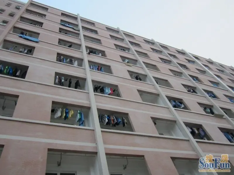 高山流水星币传说旁边就是理工大学的男生宿舍楼!狂汗!