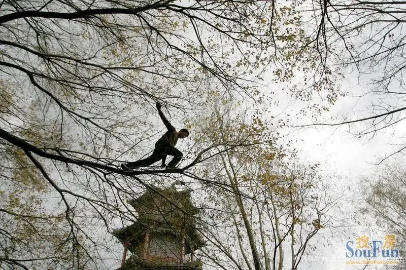 莫非这就是传说中的梯云纵?