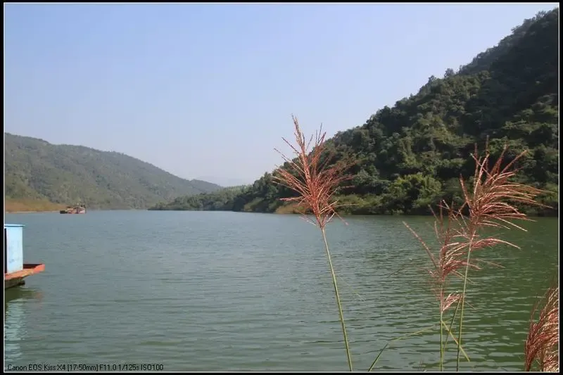 新丰江源头景色