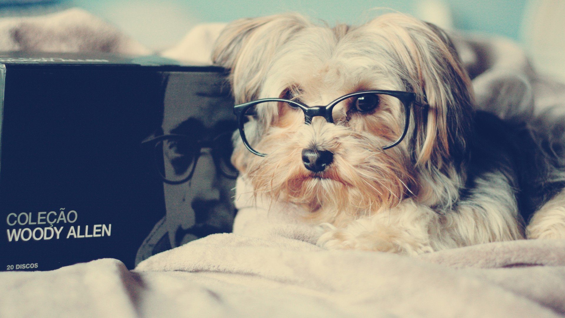 南宁盛邦领地装修案例_装修效果图_装修风格