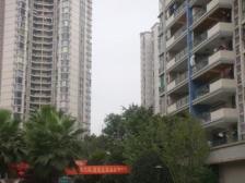 冉家坝 东和春天东区三房140万