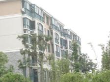 随时看房 满五 产权清晰 新上房源