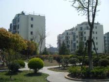 今天花园3室2厅南北