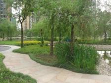 豪华装修,中央空调加地暖,小区中心位置,高楼层,带地下产权车位,临中心景观湖,白玉兰奖品质小区,近地铁,医院,周边配套齐全。