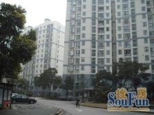 中间楼层,电梯房 业主诚意